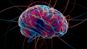 Brain illustration showcasing neuroplasticity in relation to social anxiety condition.