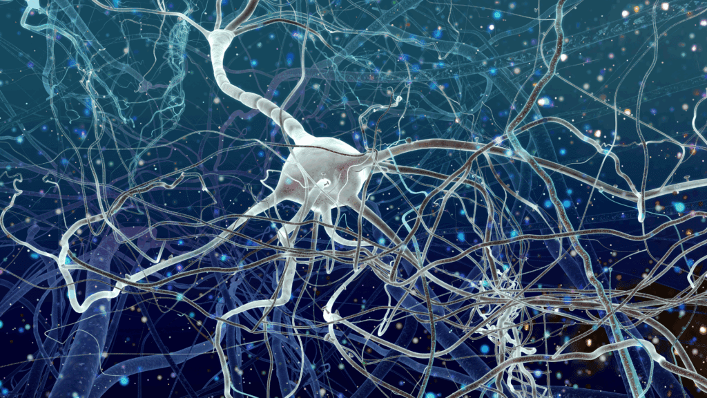  3D visualization of neural pathways in the brain, representing the neuroscience of compulsive hoarding.
