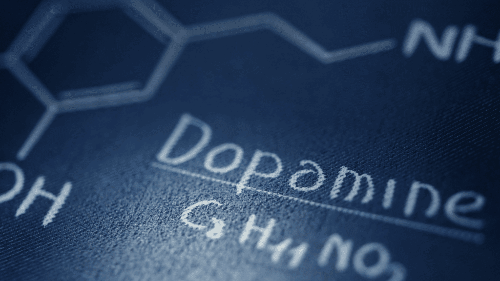 Chemical structure of dopamine illustrating dopamines role in brain function and motivation.