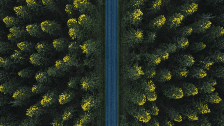 A straight road through a forest, viewed from above, symbolizing the clarity of taking the high roaad.
