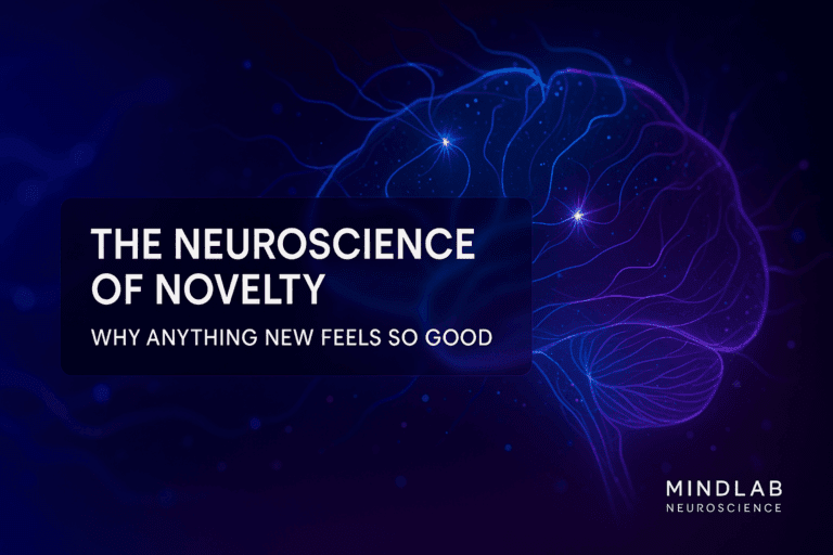 The Neuroscience of Novelty: Why Your Brain Chases New and How to Redirect the Circuit